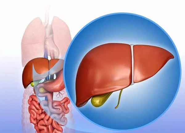 世界肝炎日,郑州华医大医院全国八大肝病名医巡诊行活动进行中