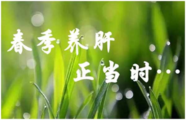 春养肝、正当时!3月1日起,郑州华医大医院肝病检查0元起